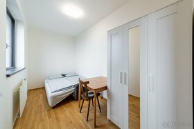 Аренда комнаты для семейной пары в квартире 3+1 , Praha 7 - 7
