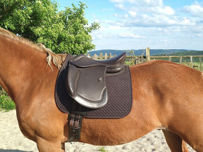 Sedlo EasyTrek - 7