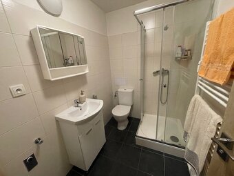 Pronájem, byt 1+kk, Zábřeh - 7