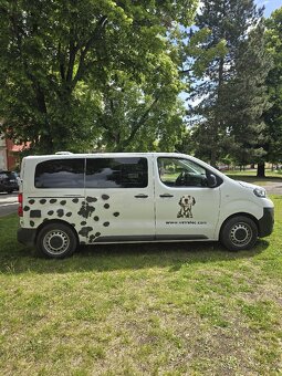 Peugeot Expert 2.0 Hdi 2024 - 7