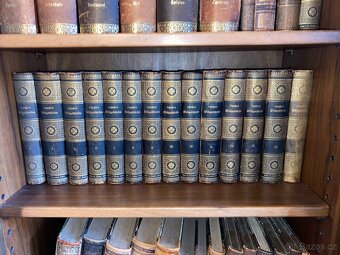 Starožitnosti (Knihy,obrazy,nádobí,Africké věci) - 7