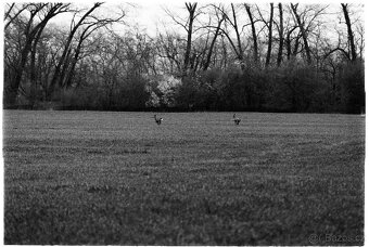 Nikon F4 + Nikon AF Nikkor 24-50mm f/3.3-4.5 + Nikon 70-210m - 7