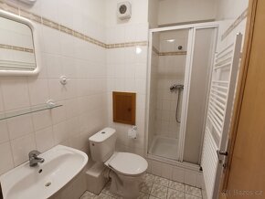 Prodej mezonetového bytu v Jáchymově - 7