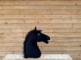 LARDEN - Hobby Horse - 7
