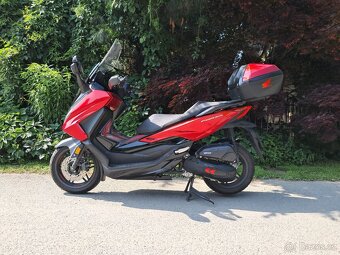 Honda forza rok 2024 - 7