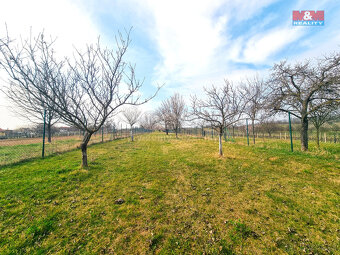 Prodej ovocného sadu, 4096 m², Starý Poddvorov - 7