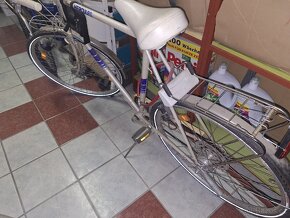 Hercules pegasus rok cca 1960 - 7