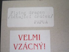 Dráček létavý - 7