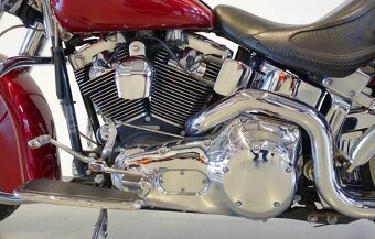 Harley-Davidson Heritage Softail, 2005 - 7