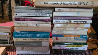 Harlequinky, knihy - 7