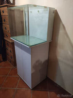 Akvarijní ryby Drobní savci Kočky Koně Koně - potřeby Koně - 7