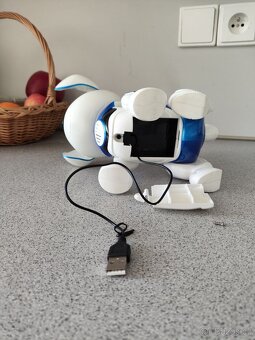 chodící a mluvící pejsek - 7