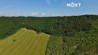 Prodej pozemek Lesy, 3149㎡ - 7