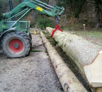 Kleště na klády mechanické, Drapák, 2t - 7