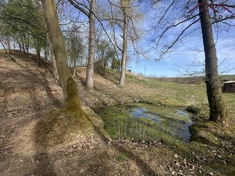 Prodej pozemků se dvěma rybníky, 15 233 m2 - Hradec u Stoda - 7