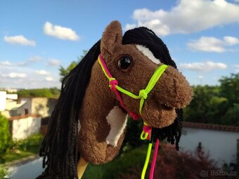 Hobby horse - 7