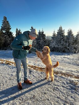 iPhone 14 Pro 128GB Deep Purple - 7