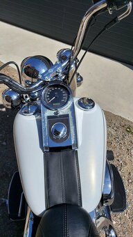 Harley Davidson - 7