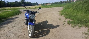Honda Hornet 600 35KW A2 - 7