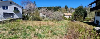 Prodej stavební parcely 700 m² Železná Ruda - 7