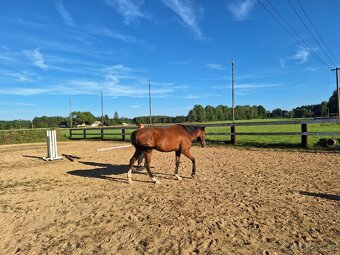Ustájení Třeboňsko - 7