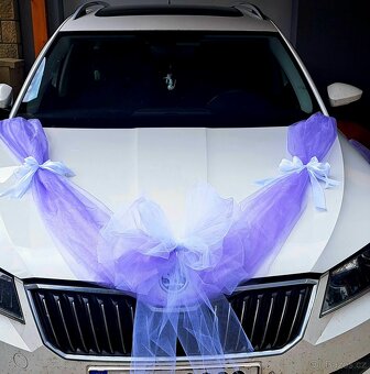 Kompletní svatebni výzdoba - 7