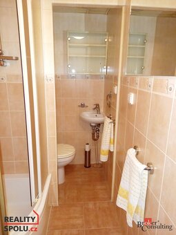 Převod dr. podílu, byty/1+1, 36 m2, Kyjická 4654, 43004 Chom - 7