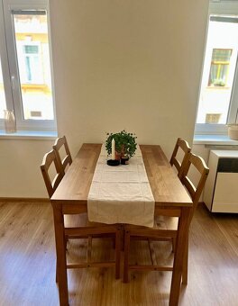 Pronájem 1+1 Štítného, České Budějovice - 7