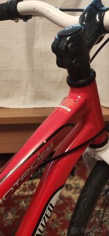Specialized Hotrock 20 - 7