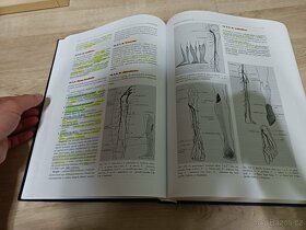 Speciální chirurgie - Miroslav Zeman - 7