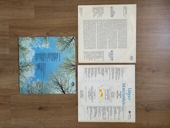 Gramofonové desky - 7