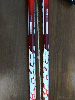 Hole pro severskou chůzi Start Spirit 125cm poutko M + hrazd - 7