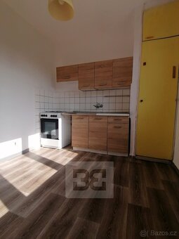 Pronájem byty 1+1, 40 m2 - Ostrava - Hrabůvka, ev.č. N08069 - 7