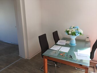 Pronájem bytu 2+1 - 7