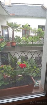 Pronájem neprůchozího pokoje, Olomouc - centrum - 7