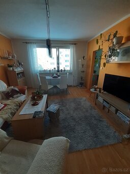 Prodám byt v Krnově - 7