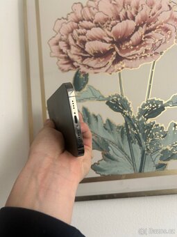 IPhone 13 Pro Max (256gb) - 7