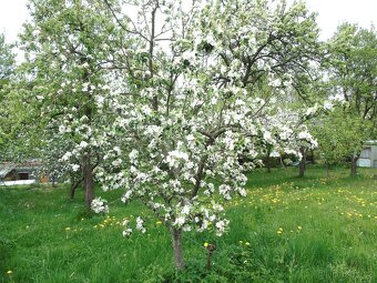 Prodám stavební parcelu - 7