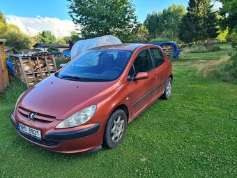 Peugot 307 1.9 tdi - 7