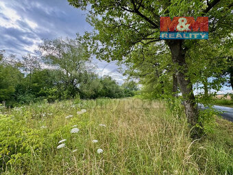 Pronájem vodní plochy, 6119 m², Žleby - Zehuby - 7