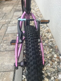 Rascal 16 - 7