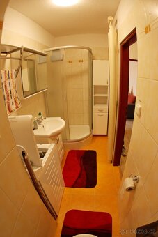 Prodej bytu 2+1,55 m²,Plzeň–Slovany,po rekonstrukci,bez RK - 7