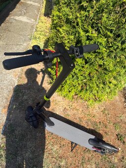 Scooter S30 - 7