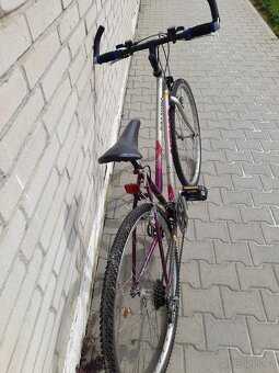 damske kolo AUTHOR DEYTONA - 7