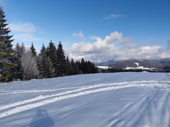 Stavebný pozemok 1,2 ha v TOP prostredí Lom Nad Rimavicou - 7