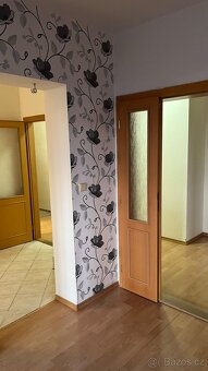 Pronájem bytu 2+1 Bílovec - 7