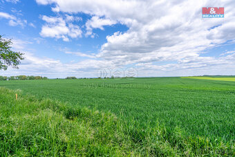 Prodej pozemku k bydlení, 48463 m², Cerhenice - 7