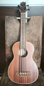 kytary akustické Taylor, Furch, Guild - 7