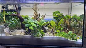 Akvarium Juwel Lido 200 LED - 7