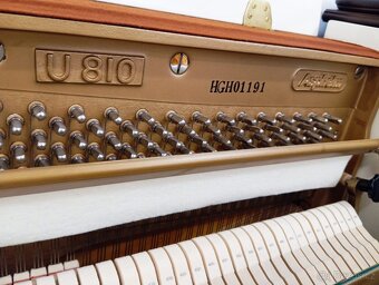 Aspheim (Hyundai)/lesk/-Dovoz i na Štědrý den 24.12. - 7